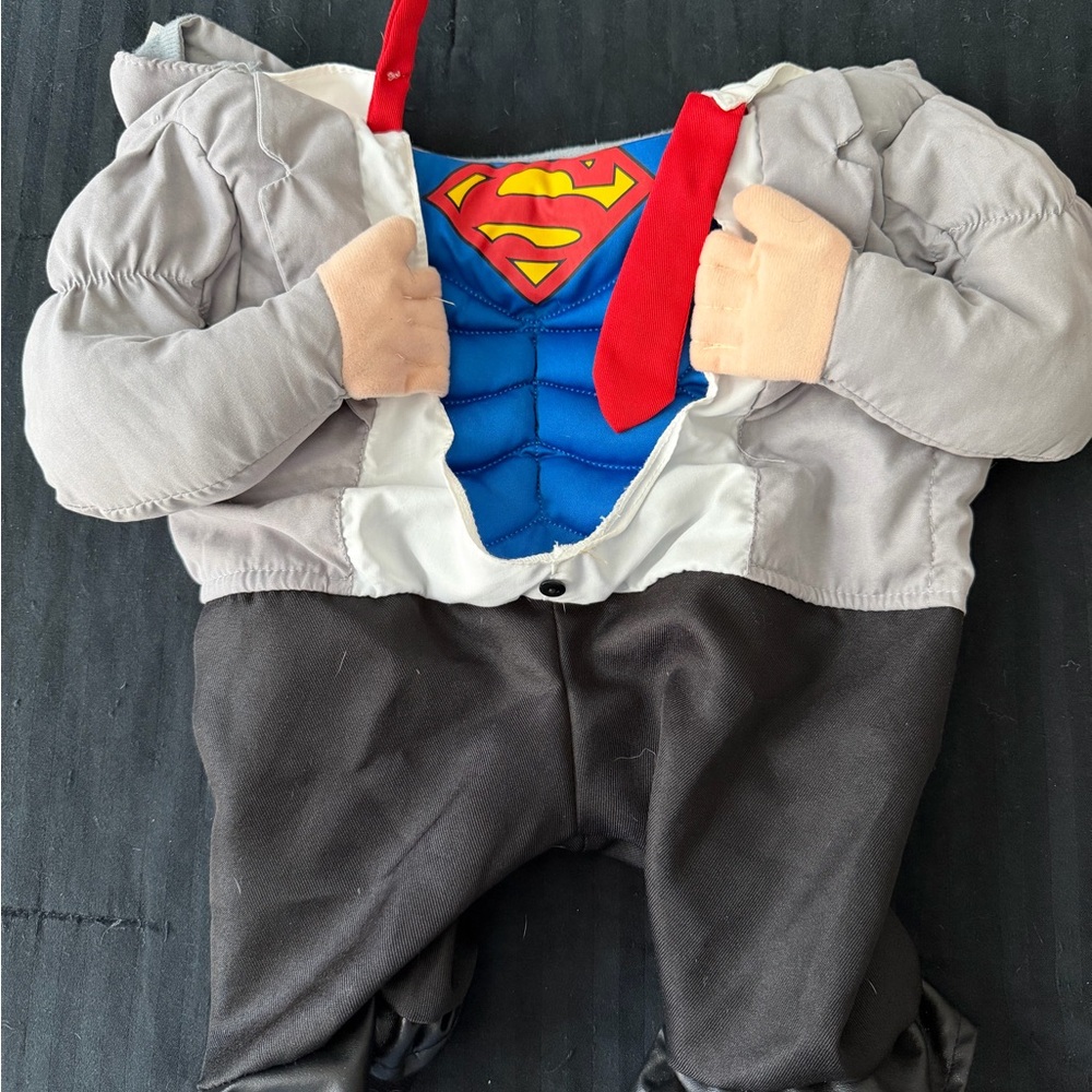 Heroic Dog Costume with Blue and Red Details